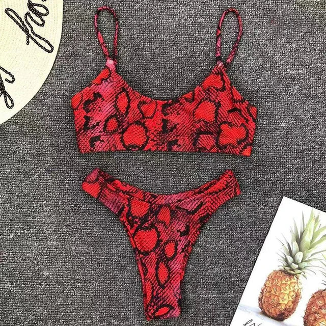 Tan through Chic Two-Piece Backless Bikini Set