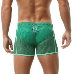 Tan Through SHORTS New Summer shorts Fitness Bodybuilding shorts Mens Mesh Breathable see through  underwear